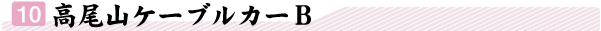 �P�O,�����R�P�[�u���J�[B